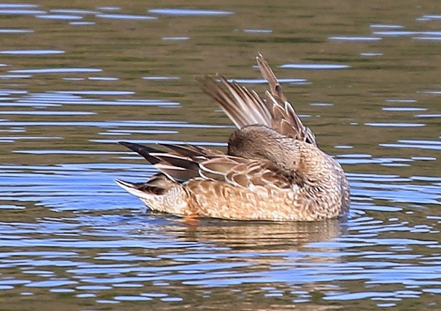 a0335853_09014743.jpg