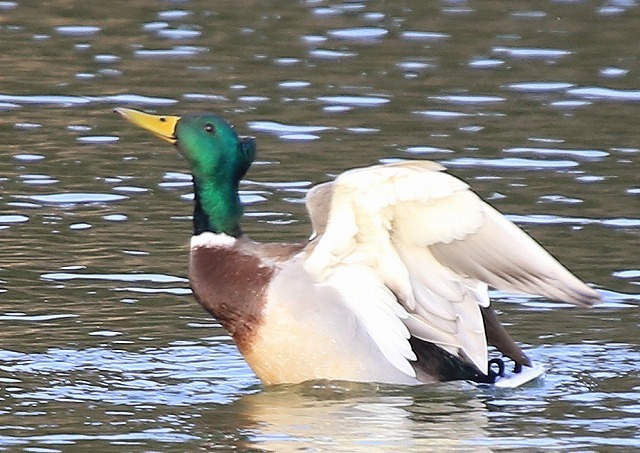 a0335853_09022889.jpg