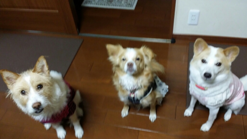 f0046854_22490624.jpg