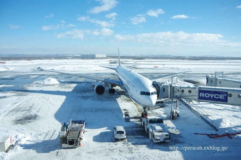 雪の空港＠新千歳空港_c0354758_20204151.jpg