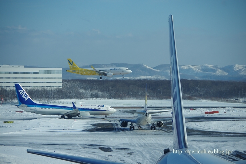 雪の空港＠新千歳空港_c0354758_20334182.jpg