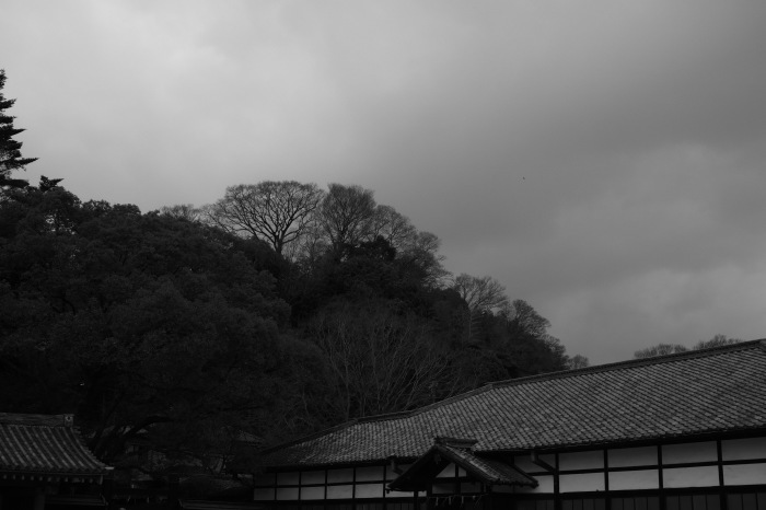 d0349265_11152194.jpg