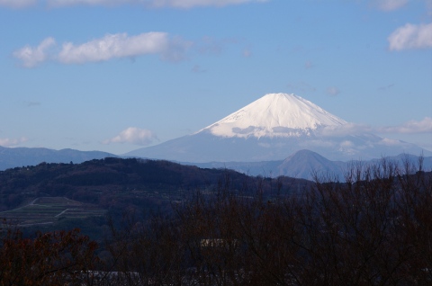 e0045768_238114.jpg