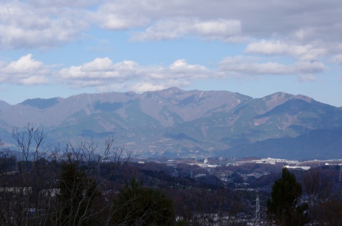 e0045768_2381676.jpg