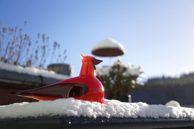 iittala Birds by Toikka -Red Cardinal : buckの気ままなblog。 iittala Birds by Toikka -Red Cardinal : buckの気ままなblog。