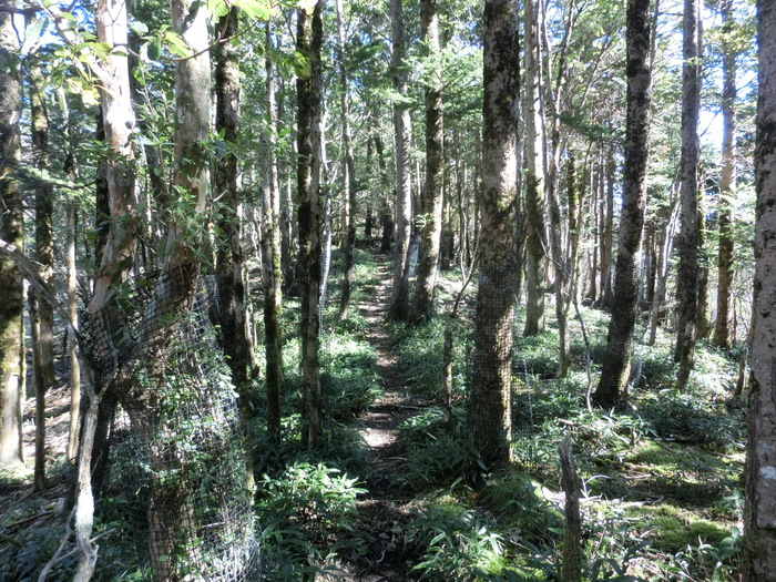 b0185573_1431220.jpg