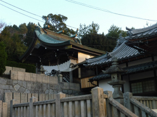 初詣　戸島神社と家で朝祝い_e0046477_22181451.jpg