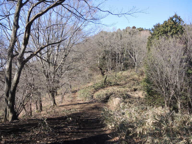 日溜りハイク(堂所山編)_e0232277_10375581.jpg