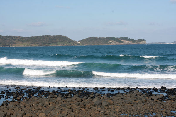 b0176483_2010284.jpg