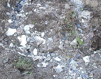 f0003283_19200442.jpg