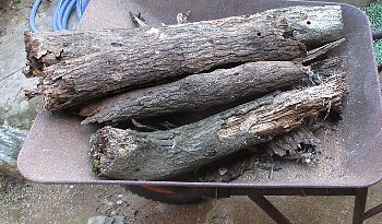 f0003283_19203806.jpg