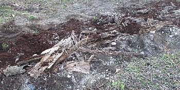f0003283_19211359.jpg