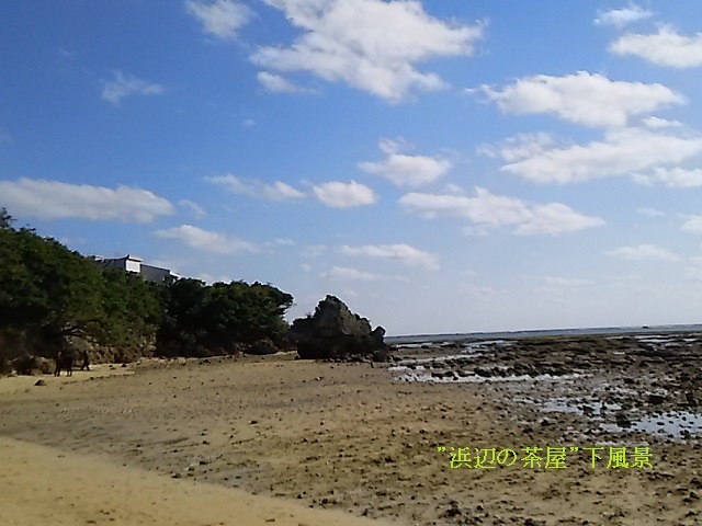 青い空・海・そして川　in　沖縄_d0081485_16403333.jpg