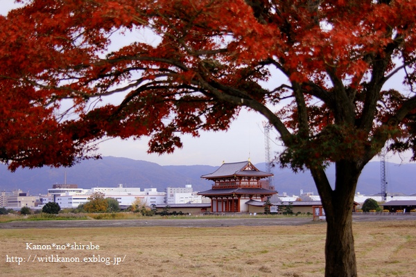 奈良旅行＊平城宮跡＊_d0148187_1914328.jpg