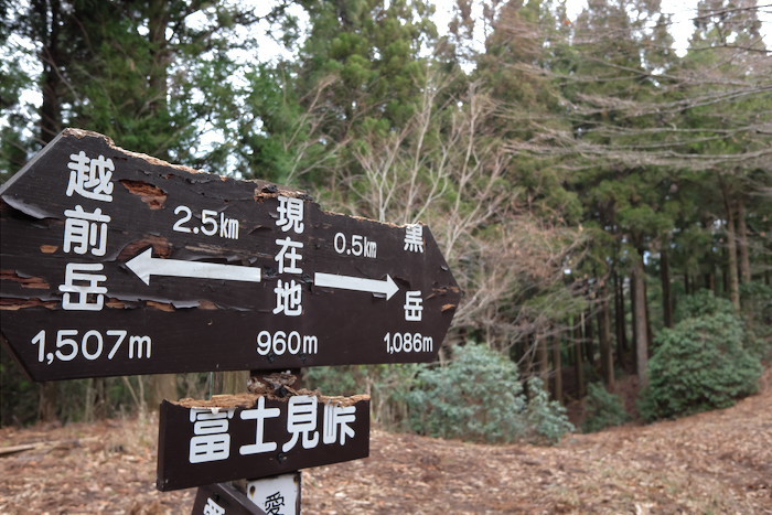 b0339488_21154711.jpg