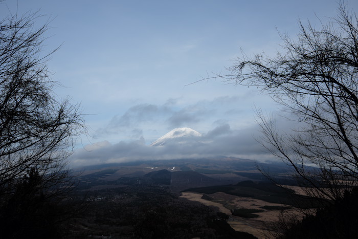 b0339488_21154756.jpg