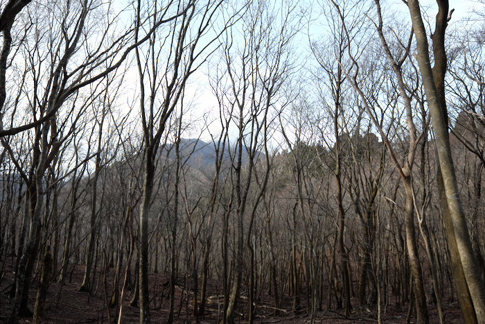 b0339488_21155734.jpg