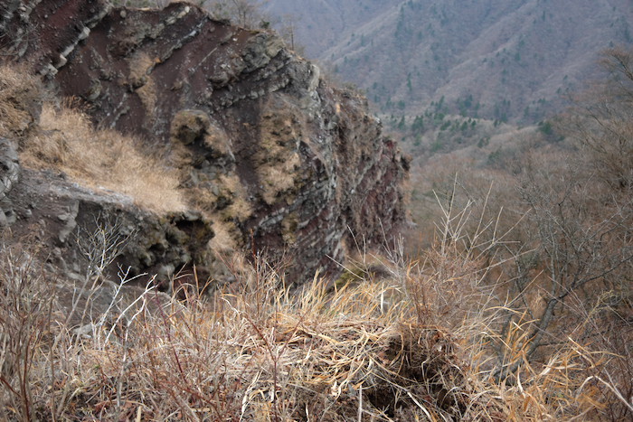 b0339488_21155802.jpg