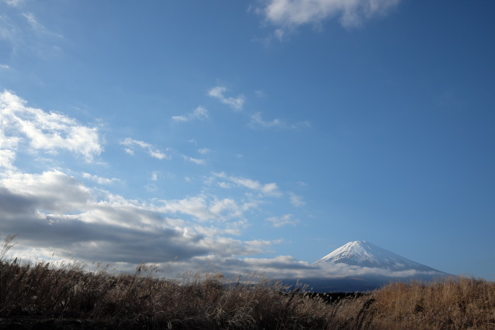 b0339488_21161060.jpg