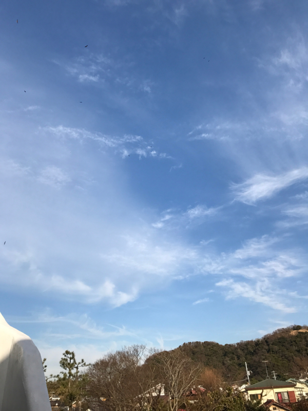 f0298891_15050113.jpg