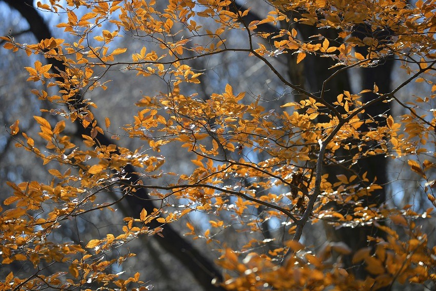 b0255992_11424614.jpg
