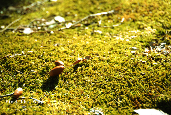 f0054594_02131025.jpg