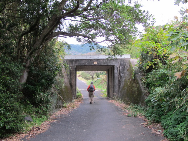 薩摩半島④矢筈岳を登る　2017.1.2（月）_a0166196_11212663.jpg