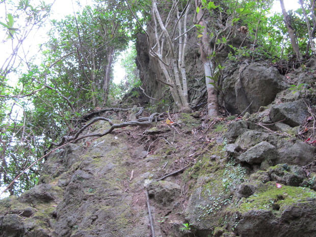 薩摩半島④矢筈岳を登る　2017.1.2（月）_a0166196_11241755.jpg