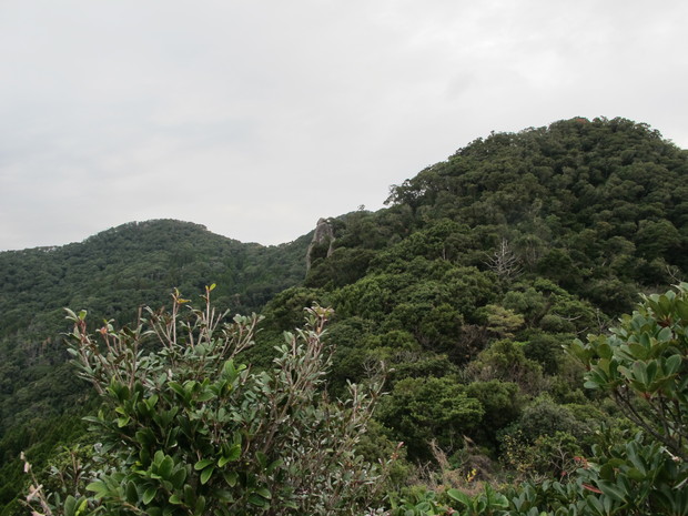 薩摩半島④矢筈岳を登る　2017.1.2（月）_a0166196_1125640.jpg