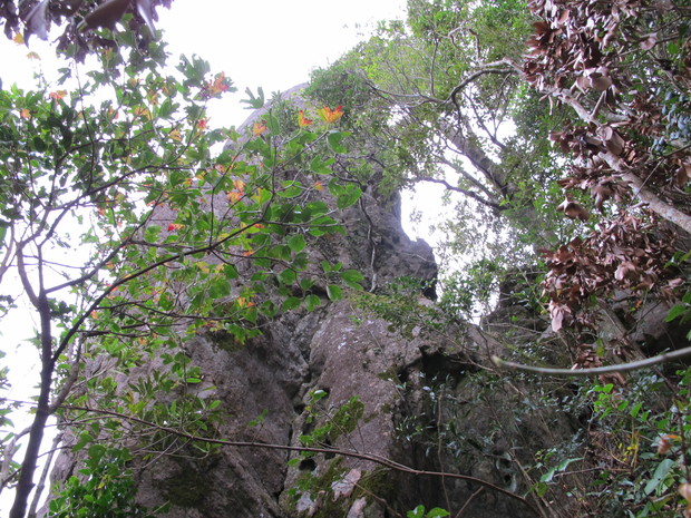 薩摩半島④矢筈岳を登る　2017.1.2（月）_a0166196_11272624.jpg