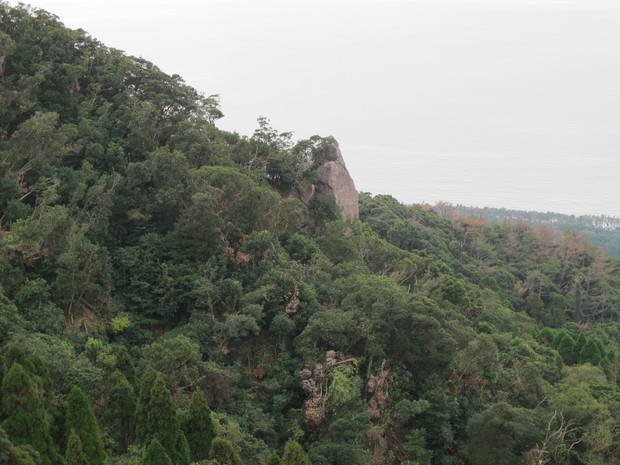 a0166196_1128468.jpg