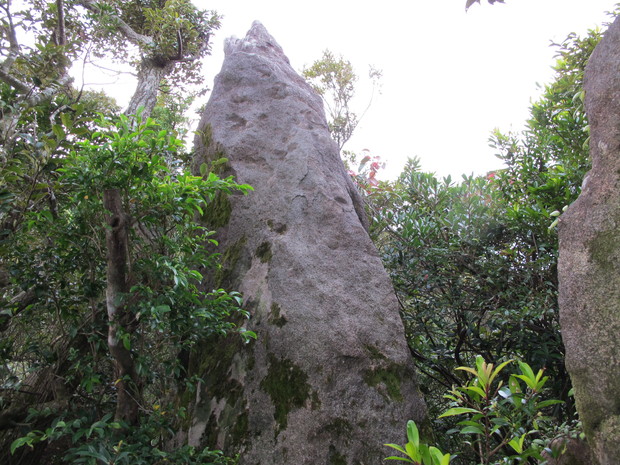 a0166196_11291444.jpg