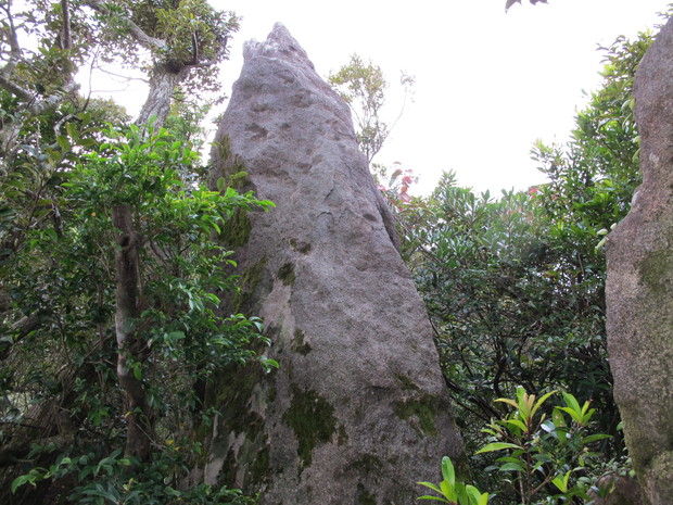 薩摩半島④矢筈岳を登る　2017.1.2（月）_a0166196_11291444.jpg