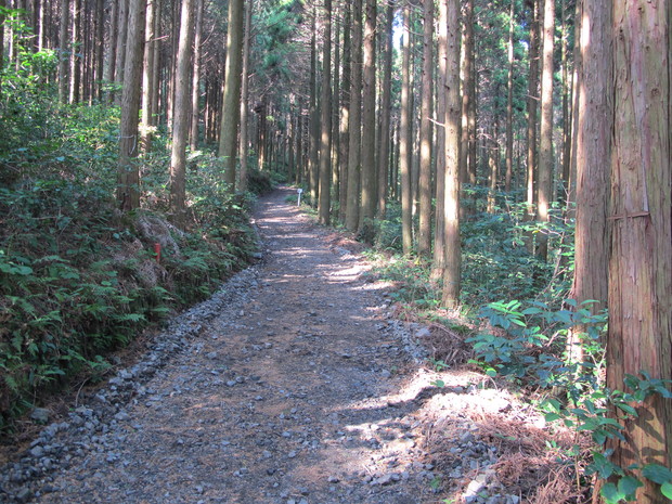 薩摩半島④矢筈岳を登る　2017.1.2（月）_a0166196_11384880.jpg