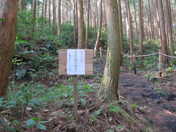 薩摩半島④矢筈岳を登る　2017.1.2（月）_a0166196_11391114.jpg