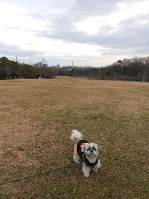 f0372998_12282178.jpg