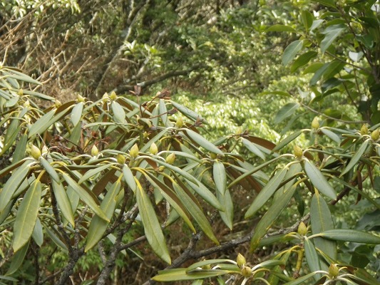f0187402_20313622.jpg