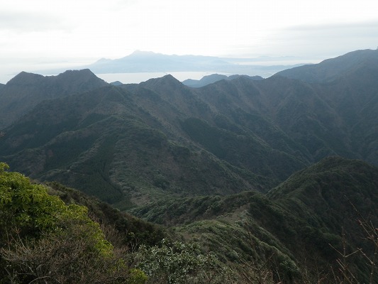 f0187402_2033446.jpg