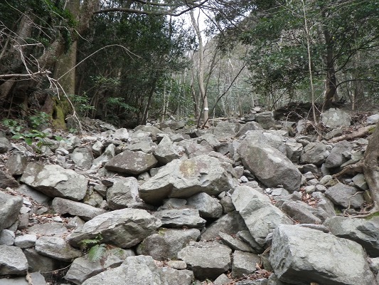 f0187402_20335095.jpg