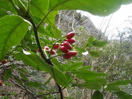 f0187402_20335965.jpg