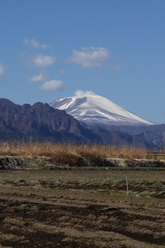 a0357206_20424695.jpg