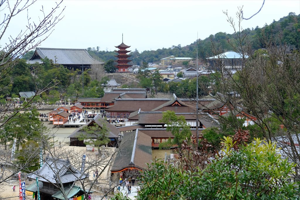 2017新春宮島弥山安全祈願登山(2017/01/07)_c0346710_22085560.jpg