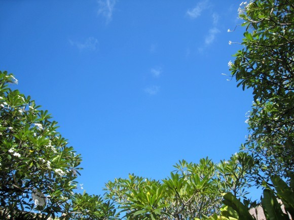 f0032812_12434868.jpg