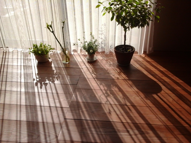 f0253917_964927.jpg
