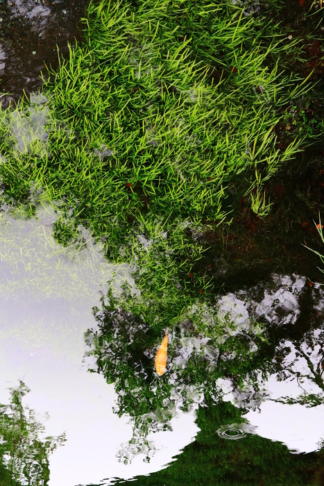 f0209122_14185921.jpg