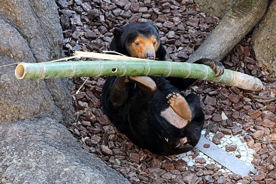 f0224624_21593191.jpg