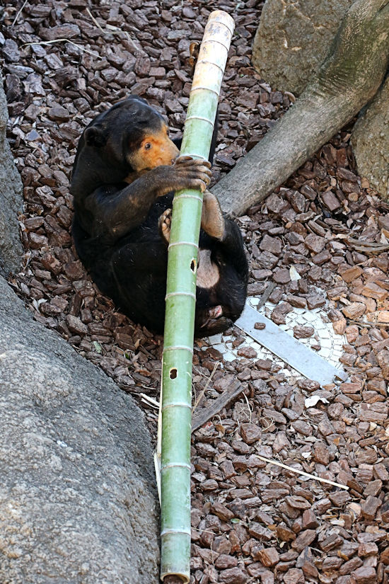 f0224624_22000495.jpg