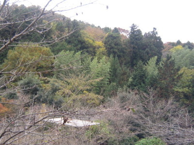 d0162225_23185786.jpg