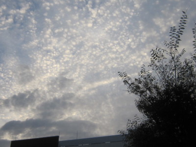 d0162225_23435467.jpg