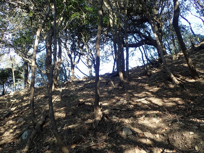 e0284726_16445699.jpg